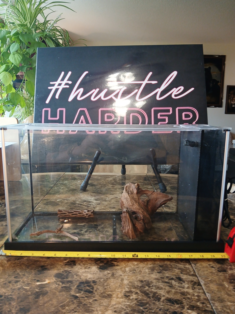 Fluval Spec V Aquarium Kit, 5-Gallon, Black tested works great 

The Fluval Spec